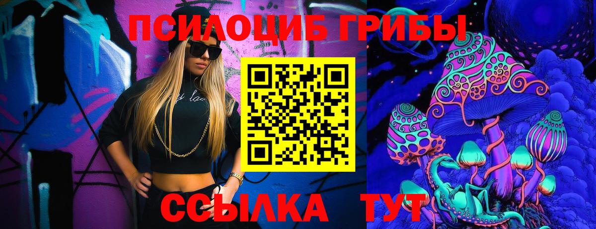 Псилоцибиновые грибы Psilocybine cubensis  Вход с VPN  Карачаевск 