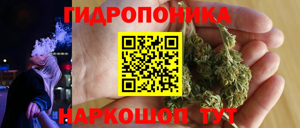 Бошки марихуана план Карачаевск